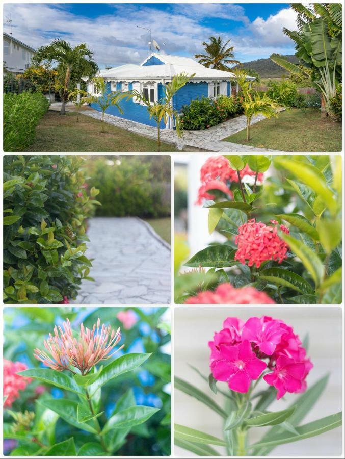 Villa Alize & Villa Aigue-Marine Sainte-Anne Ngoại thất bức ảnh